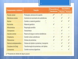 19




     Nuno Correia 11/12
 