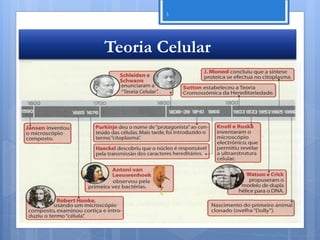 3




Teoria Celular




                 Nuno Correia 11/12
 