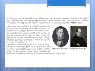 6




    Nuno Correia 11/12
 