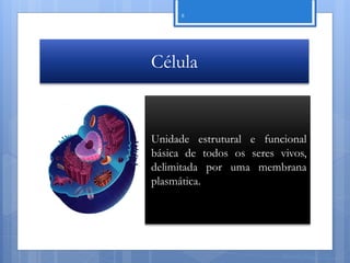 8




Célula


Unidade estrutural e funcional
básica de todos os seres vivos,
delimitada por uma membrana
plasmática.




                          Nuno Correia 11/12
 