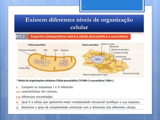 9




Existem diferentes níveis de organização
                celular




                                       Nuno Correia 11/12
 