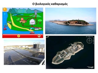 Ο βιολογικός καθαρισμός
 