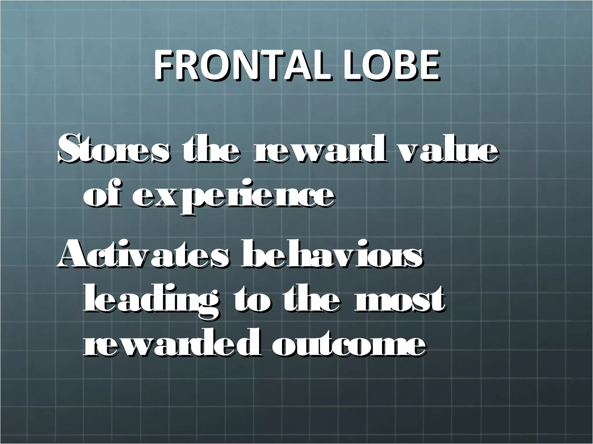 FRONTAL LOBEFRONTAL LOBE
Stores the reward valueStores the reward value
of experienceof experience
Activates behaviorsActivates behaviors
leading to the mostleading to the most
rewarded outcomerewarded outcome
 