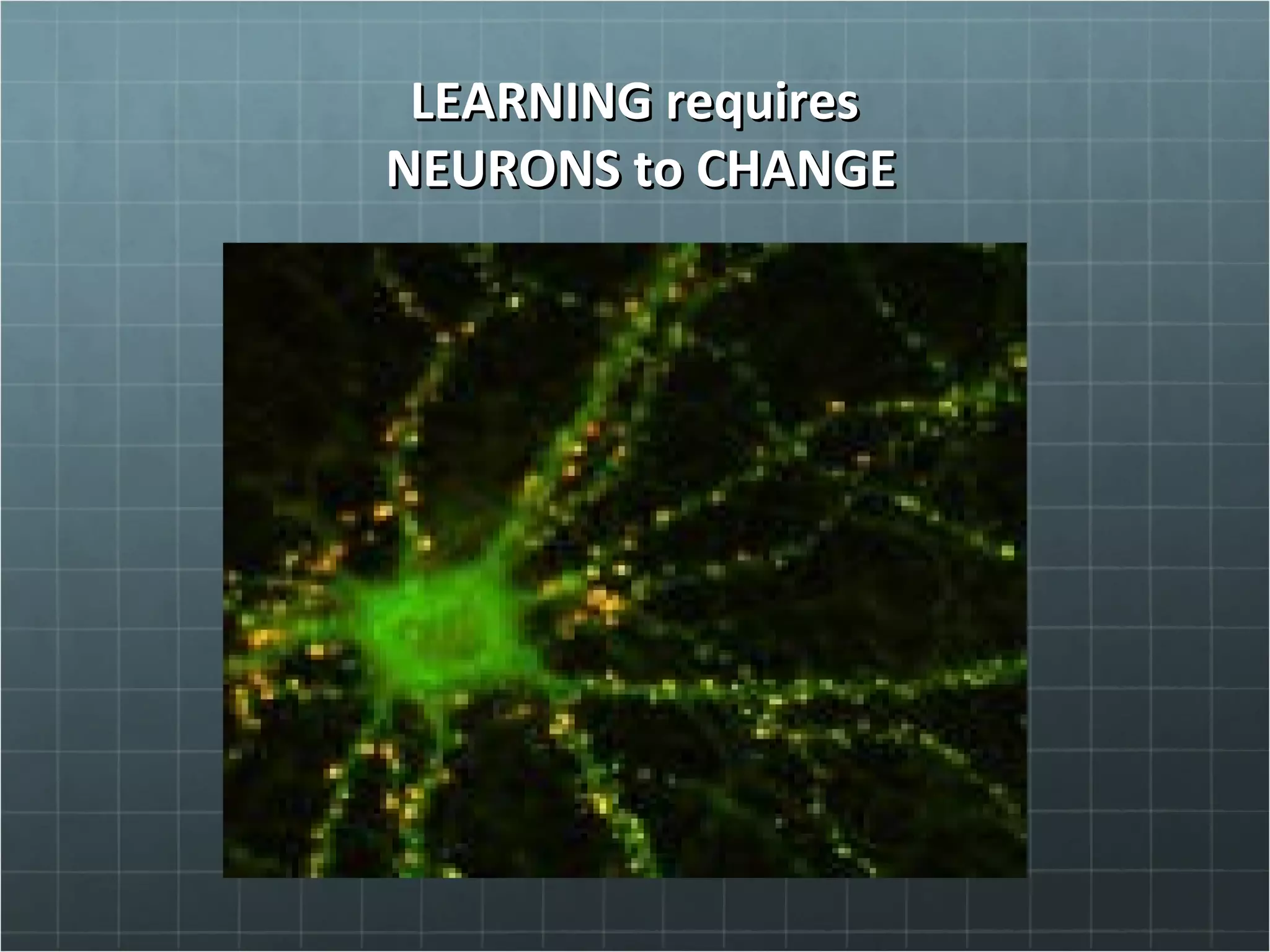 LEARNING requiresLEARNING requires
NEURONS to CHANGENEURONS to CHANGE
 
