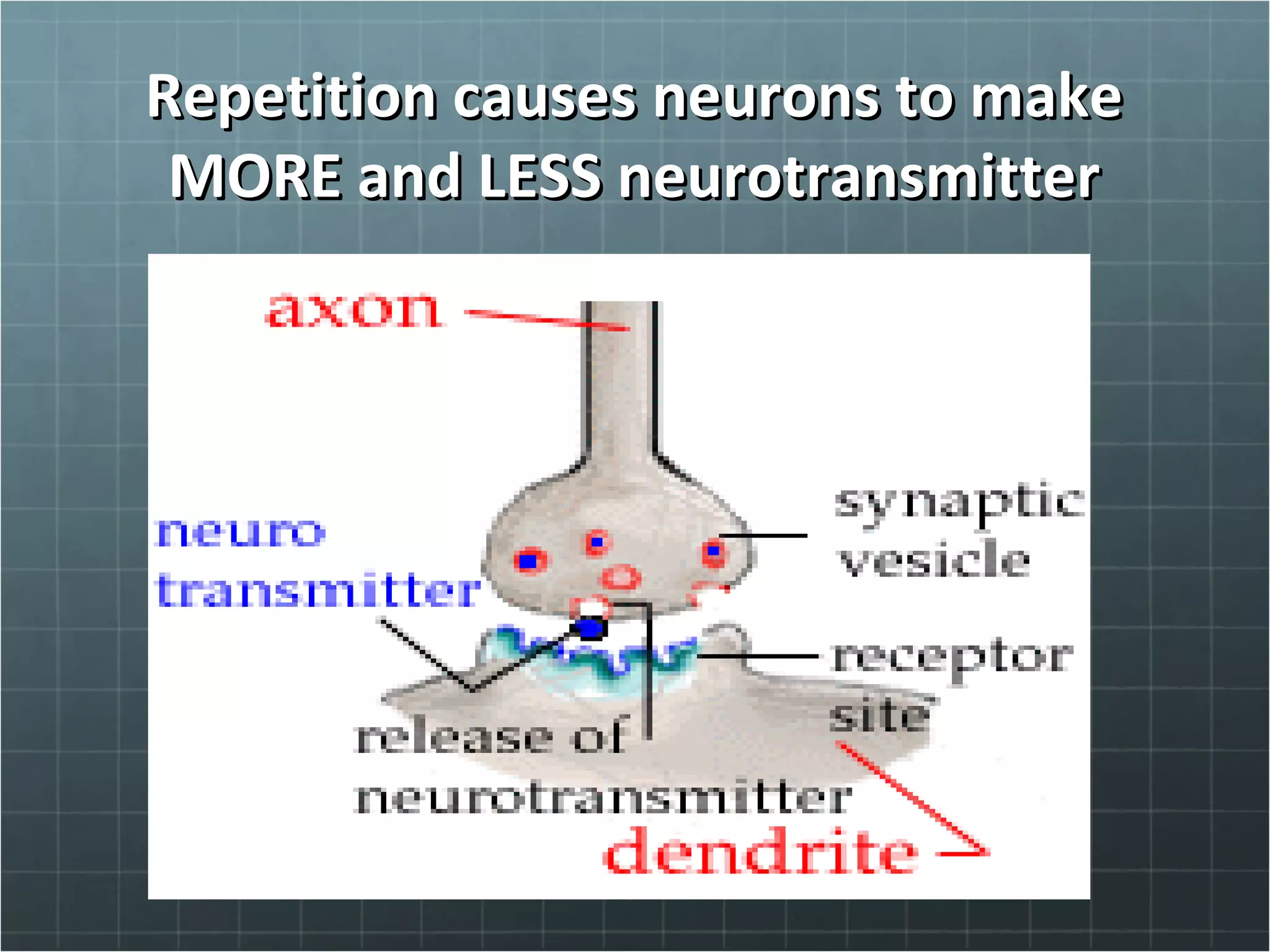 Repetition causes neurons to makeRepetition causes neurons to make
MORE and LESS neurotransmitterMORE and LESS neurotransmitter
 