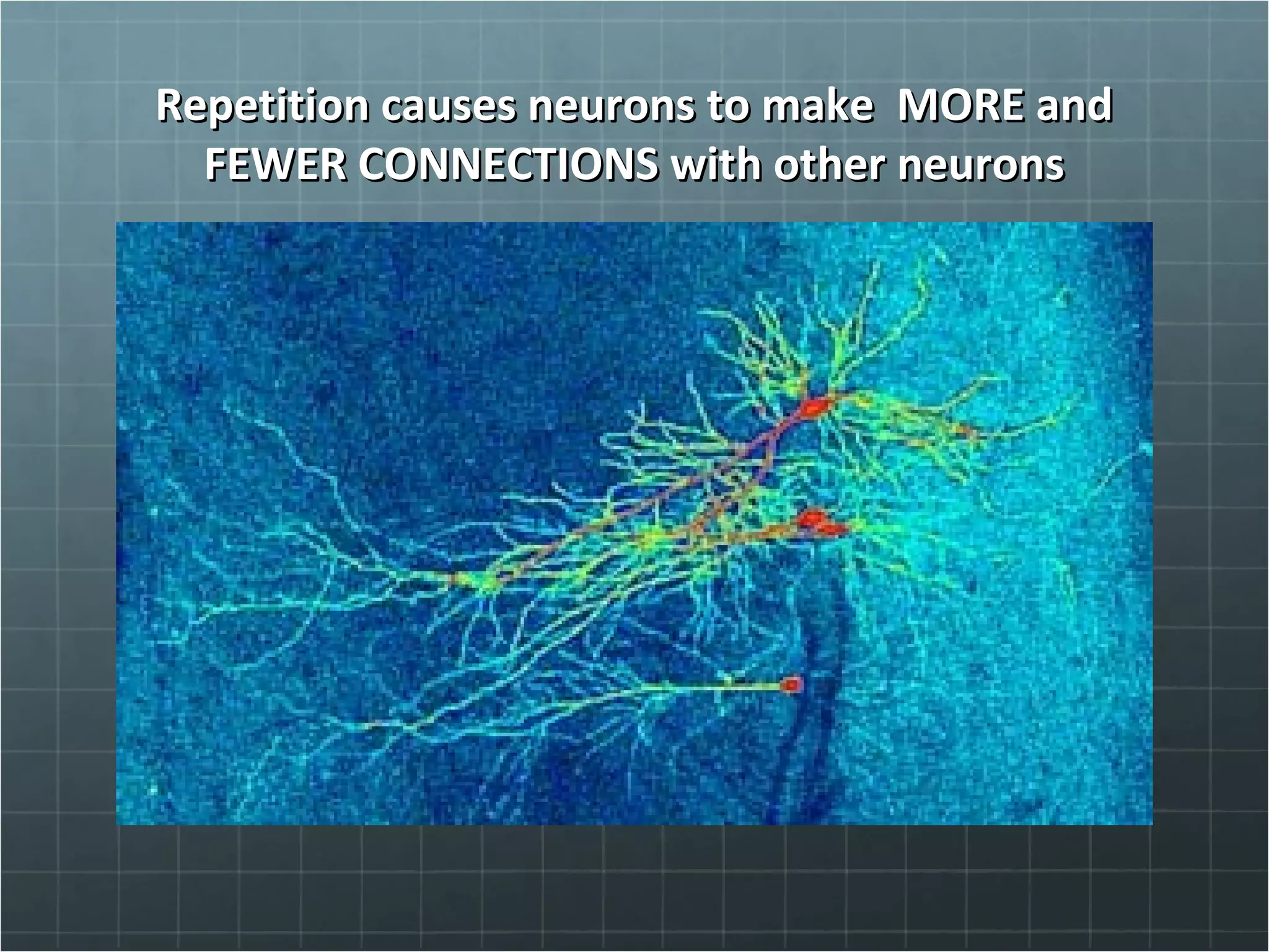 Repetition causes neurons to make MORE andRepetition causes neurons to make MORE and
FEWER CONNECTIONS with other neuronsFEWER CONNECTIONS with other neurons
 