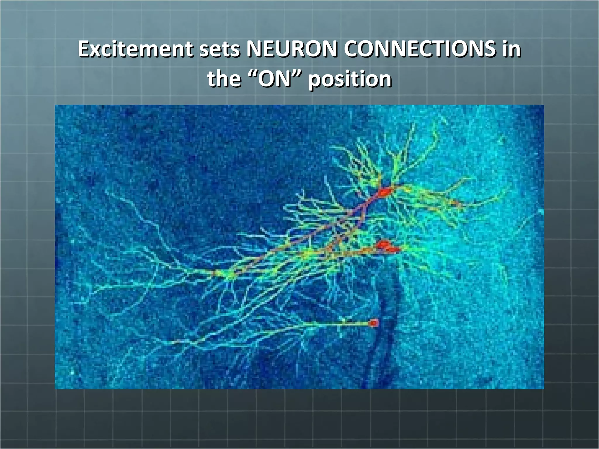 Excitement sets NEURON CONNECTIONS inExcitement sets NEURON CONNECTIONS in
the “ON” positionthe “ON” position
 