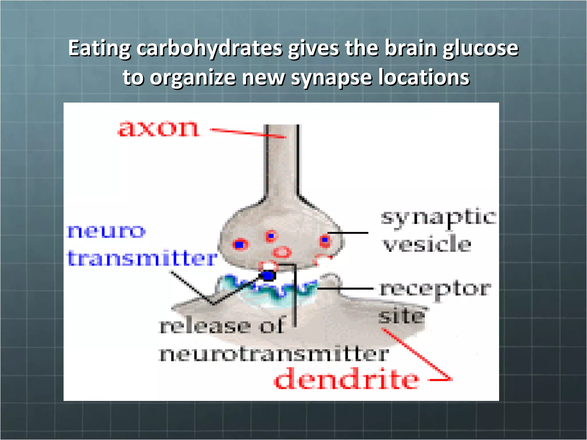 Eating carbohydrates gives the brain glucoseEating carbohydrates gives the brain glucose
to organize new synapse locationsto organize new synapse locations
 