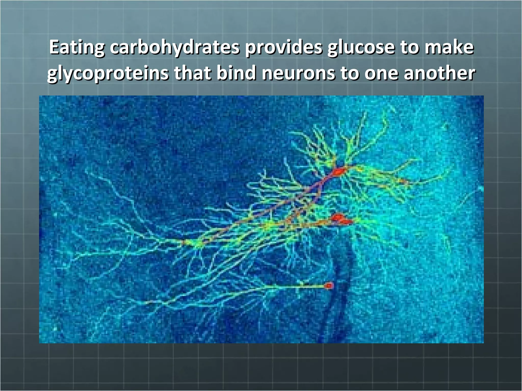 Eating carbohydrates provides glucose to makeEating carbohydrates provides glucose to make
glycoproteins that bind neurons to one anotherglycoproteins that bind neurons to one another
 