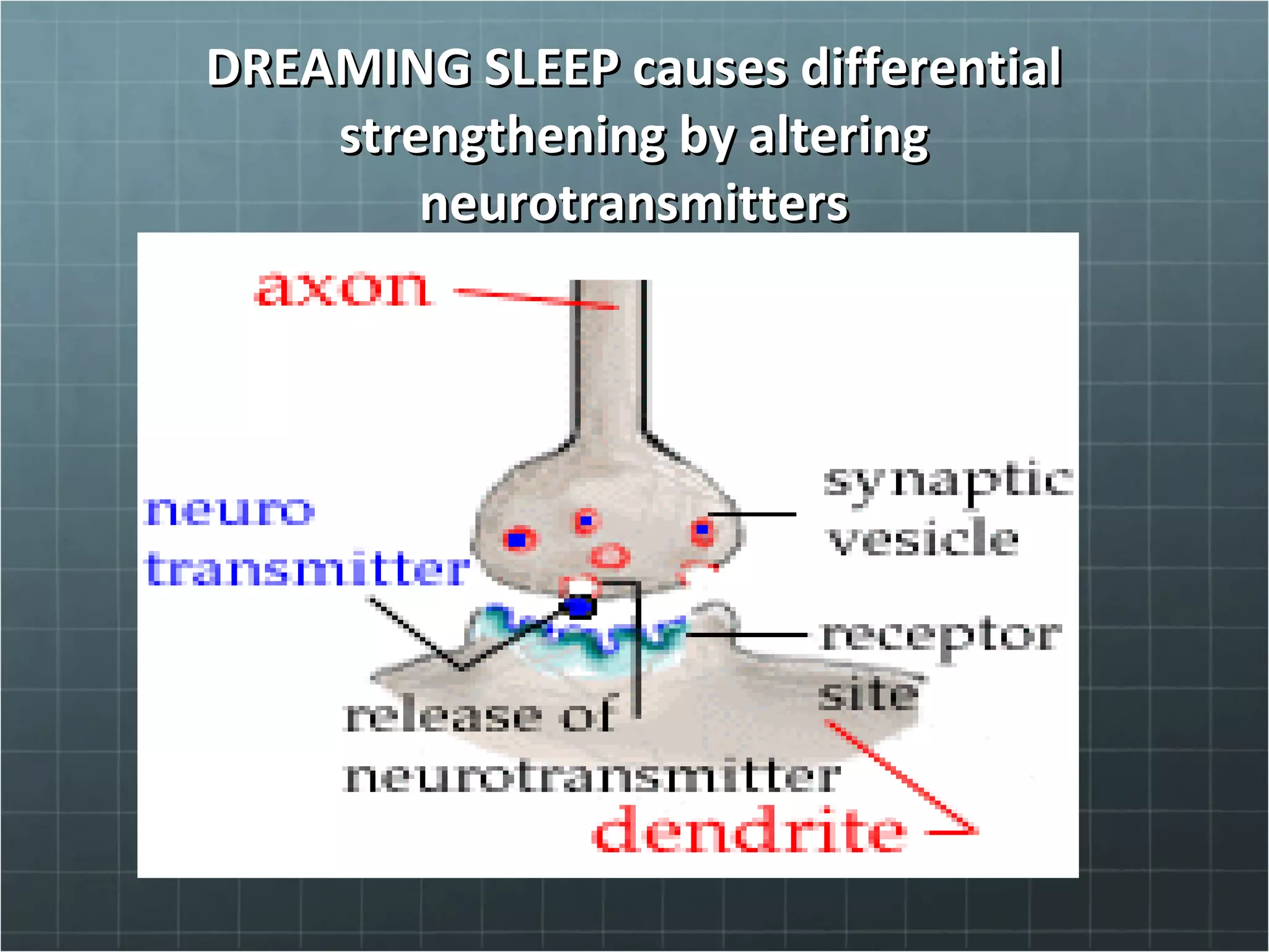 DREAMING SLEEP causes differentialDREAMING SLEEP causes differential
strengthening by alteringstrengthening by altering
neurotransmittersneurotransmitters
 