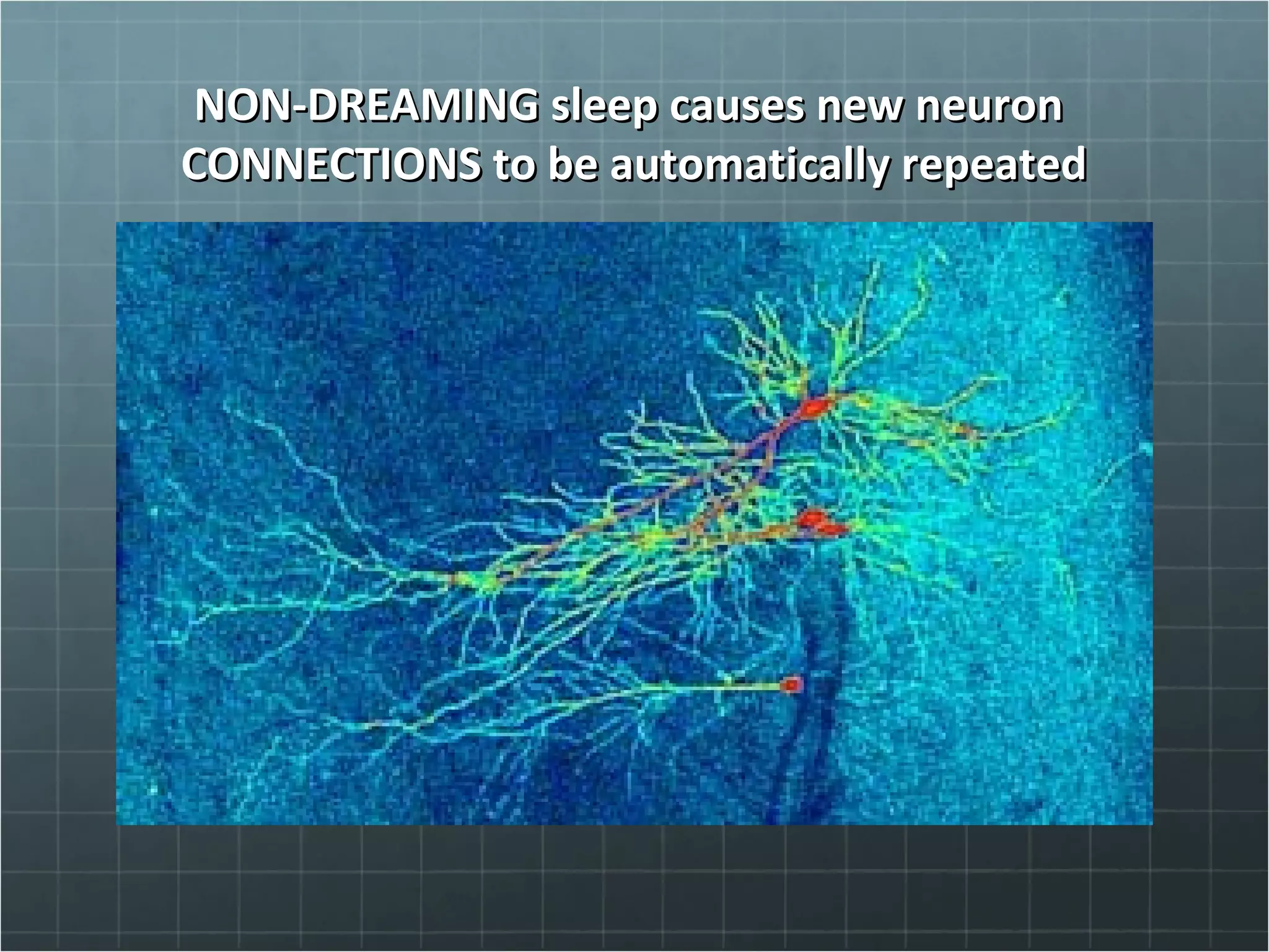 NON-DREAMING sleep causes new neuronNON-DREAMING sleep causes new neuron
CONNECTIONS to be automatically repeatedCONNECTIONS to be automatically repeated
 