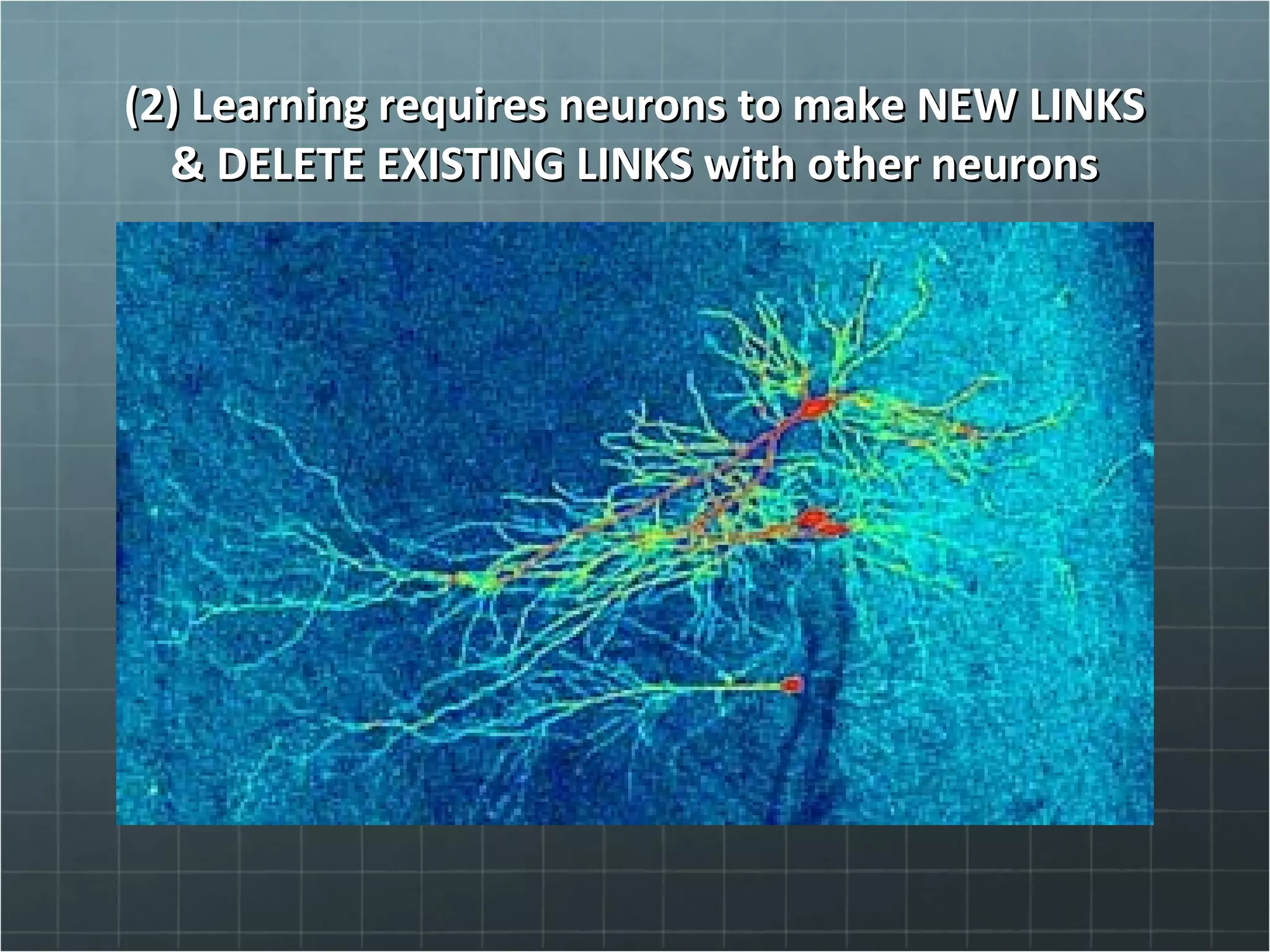 (2) Learning requires neurons to make NEW LINKS(2) Learning requires neurons to make NEW LINKS
& DELETE EXISTING LINKS with other neurons& DELETE EXISTING LINKS with other neurons
 