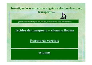 transporte Plantas