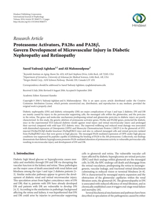 Research Article
Proteasome Activators, PA28𝛼 and PA28𝛽,
Govern Development of Microvascular Injury in Diabetic
Nephropathy and Retinopathy
Saeed Yadranji Aghdam1,2
and Ali Mahmoudpour3
1
Reynolds Institute on Aging, Room No. 4151, 629 Jack Stephens Drive, Little Rock, AR 72205, USA
2
Department of Geriatrics, University of Arkansas for Medical Sciences, Little Rock, AR, USA
3
Norgen Biotek Corp., 3430 Schmon Parkway, Thorold, ON, Canada L2V 4Y6
Correspondence should be addressed to Saeed Yadranji Aghdam; syaghdam@uams.edu
Received 11 July 2016; Revised 8 August 2016; Accepted 6 September 2016
Academic Editor: Kazunari Kaneko
Copyright © 2016 S. Yadranji Aghdam and A. Mahmoudpour. This is an open access article distributed under the Creative
Commons Attribution License, which permits unrestricted use, distribution, and reproduction in any medium, provided the
original work is properly cited.
Diabetic nephropathy (DN) and diabetic retinopathy (DR) are major complications of type 1 and type 2 diabetes. DN and DR
are mainly caused by injury to the perivascular supporting cells, the mesangial cells within the glomerulus, and the pericytes
in the retina. The genes and molecular mechanisms predisposing retinal and glomerular pericytes to diabetic injury are poorly
characterized. In this study, the genetic deletion of proteasome activator genes, PA28𝛼 and PA28𝛽 genes, protected the diabetic
mice in the experimental STZ-induced diabetes model against renal injury and retinal microvascular injury and prolonged
their survival compared with wild type STZ diabetic mice. The improved wellbeing and reduced renal damage was associated
with diminished expression of Osteopontin (OPN) and Monocyte Chemoattractant Protein-1 (MCP-1) in the glomeruli of STZ-
injected PA28𝛼/PA28𝛽 double knockout (Pa28𝛼𝛽DKO) mice and also in cultured mesangial cells and retinal pericytes isolated
from Pa28𝛼𝛽DKO mice that were grown in high glucose. The mesangial PA28-mediated expression of OPN under high glucose
conditions was suppressed by peptides capable of inhibiting the binding of PA28 to the 20S proteasome. Collectively, our findings
demonstrate that diabetic hyperglycemia promotes PA28-mediated alteration of proteasome activity in vulnerable perivascular cells
resulting in microvascular injury and development of DN and DR.
1. Introduction
Diabetic high blood glucose or hyperglycemia causes mor-
tality and morbidity through DN and DR via disrupting the
vascular function in the kidney and retina. These pathologies
are the major cause of death associated with renal failure and
blindness among the type 1 and type 2 diabetes patients [1–
3]. Similar molecular pathways appear to govern the devel-
opment of diabetic renal and retinal microvascular injury.
This speculation arises from higher coincidence rates of DN
and DR; that is, patients with DN have already developed
DR and patients with DR are vulnerable to develop DN
[4, 5]. According to the similarities in pathologic background
affecting the retina and kidney, it was hypothesized that DN
and DR could arise by injuries to perivascular supporting
cells in glomeruli and retina. The vulnerable vascular cell
types affected by diabetic hyperglycemia are retinal pericytes
(RPC) and their analogs within glomeruli are the mesangial
cells. In DR, the RPC undergo cell death and disengage from
the retinal vasculature, predisposing the retina to neoangio-
genesis, vascular leakage, and tractional retinal detachment
culminating in reduced vision or terminal blindness [6–8].
DN is characterized by mesangial matrix expansion and the
obstruction of the glomerular capillaries within the renal
filtration units, the glomeruli [9]. The glomerulopathy in DN
is associated with reduced efficiency of renal filtration, and in
chronically established cases it triggers end-stage renal failure
and mortality [10].
Several biochemical mechanisms and pathways have been
described in speculation of the pathogenesis caused by either
Hindawi Publishing Corporation
International Journal of Nephrology
Volume 2016,Article ID 3846573, 13 pages
http://dx.doi.org/10.1155/2016/3846573
 