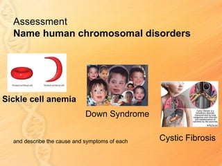 Assessment
  Name human chromosomal disorders




Sickle cell anemia
                             Down Syndrome


  and describe the cause and symptoms of each   Cystic Fibrosis
 