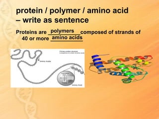 protein / polymer / amino acid
– write as sentence
              polymers
Proteins are ___________composed of strands of
              amino acids
  40 or more ___________
 