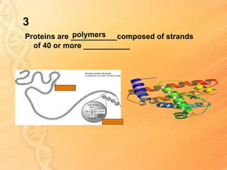 3
             polymers
Proteins are ___________composed of strands
  of 40 or more ___________
 