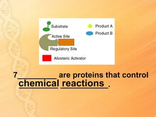 7_________ are proteins that control
 chemical ___________.
 _________ reactions
 