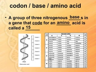 codon / base / amino acid
                                base
• A group of three nitrogenous _____s in
                          amino
  a gene that code for an ______ acid is
           15
  called a ______
 
