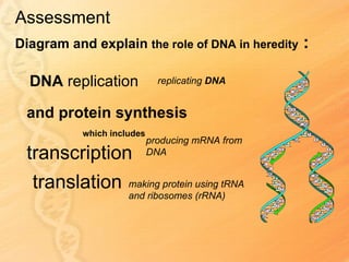 Assessment
Diagram and explain the role of DNA in heredity   :

  DNA replication             replicating DNA


 and protein synthesis
           which includes
                            producing mRNA from
 transcription              DNA


  translation making protein using tRNA
                     and ribosomes (rRNA)
 