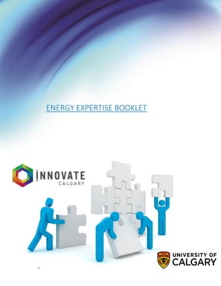 1
ENERGY EXPERTISE BOOKLET
 