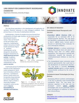 LING GROUP FOR CARBOHYDRATE BIOORGANIC
CHEMISTRY
Department of Chemistry, University of Calgary
PROFILE
The Ling Group specializes in the development and application of
synthetic chemical molecules to solve biological problems. Their
primary focus is in the area of carbohydrate chemistry.
Carbohydrates, a family of complex structures formed from
combinations of simple sugar moieties, are the most common
biomolecules found in
nature. They can be found
on the cell surface of all
organisms, mediating key
cellular interactions in both
health and disease (Figure
1). Synthetic
carbohydrates can be
designed to decode key
biological mechanisms to
inhibit bacterial and viral
activity. In addition,
synthetic analogs of
naturally-occurring
carbohydrates can be
used as vaccines.
A particular group of carbohydrates that attract the research
interests of the Ling group is
called cyclodextrins, which
have tremendous utilities in
pharmacy. Cyclodextrins
possess cavities which can
encapsulate drug molecules
to enhance targeted drug
delivery. Figure 2 shows a
chemically modified
cyclodextrin which can be
used to improve
bioavailability of
clinically used medicines.
KEY AREAS OF RESEARCH
Carbohydrate-based Therapeutics and
Vaccines
 Clostridium difficile infections (CDI) are
responsible for an estimated 10% of all
hospital-acquired diarrhea. The Ling group
has identified a carbohydrate with the ability
to bind C. difficile toxins. Current work is
focused on optimizing these molecules for
use as therapeutic inhibitors.
 Multiple Sclerosis is a serious autoimmune
disease that attacks brain and spinal cord,
affecting more than 2.3 million global
populations. The Ling group is working with
collaborators towards the discovery of
carbohydrate-based inhibitors to treat the
disease.
 The Campylobacter jejuni commonly causes
bacterial gastroenteritis that could lead to
the development of autoimmune disorders.
The Ling group is currently developing
synthetic vaccines against a unique capsular
polysaccharides produced by the strain of
bacteria.
Cyclodextrin-based Technologies for Drug
Delivery
Developing efficient synthetic methodologies
is the key to generate novel functionalised
cyclodextrin hosts. The Ling group has
extensive expertise in this area and has
developed several patent pending
technologies that can be potentially used in
novel formulations of medicines to improve
their clinical efficacy.
WEBSITE
http://www.chem.ucalgary.ca/research/groups
/ccling/index.htm
Figure 1. Cell surface carbohydrates
mediate key interactions in biology.
Figure 2. A molecular model of a
synthesized cyclodextrin that can enhance
water-solubility of anticancer medicines for
more efficient treatment.
 