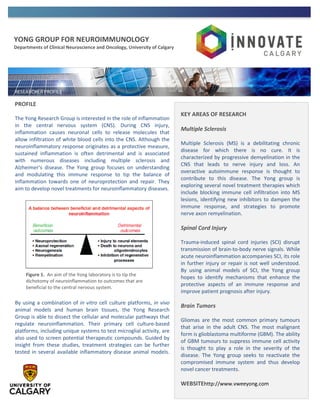 YONG GROUP FOR NEUROIMMUNOLOGY
Departments of Clinical Neuroscience and Oncology, University of Calgary
PROFILE
The Yong Research Group is interested in the role of inflammation
in the central nervous system (CNS). During CNS injury,
inflammation causes neuronal cells to release molecules that
allow infiltration of white blood cells into the CNS. Although the
neuroinflammatory response originates as a protective measure,
sustained inflammation is often detrimental and is associated
with numerous diseases including multiple sclerosis and
Alzheimer’s disease. The Yong group focuses on understanding
and modulating this immune response to tip the balance of
inflammation towards one of neuroprotection and repair. They
aim to develop novel treatments for neuroinflammatory diseases.
By using a combination of in vitro cell culture platforms, in vivo
animal models and human brain tissues, the Yong Research
Group is able to dissect the cellular and molecular pathways that
regulate neuroinflammation. Their primary cell culture-based
platforms, including unique systems to test microglial activity, are
also used to screen potential therapeutic compounds. Guided by
insight from these studies, treatment strategies can be further
tested in several available inflammatory disease animal models.
KEY AREAS OF RESEARCH
Multiple Sclerosis
Multiple Sclerosis (MS) is a debilitating chronic
disease for which there is no cure. It is
characterized by progressive demyelination in the
CNS that leads to nerve injury and loss. An
overactive autoimmune response is thought to
contribute to this disease. The Yong group is
exploring several novel treatment therapies which
include blocking immune cell infiltration into MS
lesions, identifying new inhibitors to dampen the
immune response, and strategies to promote
nerve axon remyelination.
Spinal Cord Injury
Trauma-induced spinal cord injuries (SCI) disrupt
transmission of brain-to-body nerve signals. While
acute neuroinflammation accompanies SCI, its role
in further injury or repair is not well understood.
By using animal models of SCI, the Yong group
hopes to identify mechanisms that enhance the
protective aspects of an immune response and
improve patient prognosis after injury.
Brain Tumors
Gliomas are the most common primary tumours
that arise in the adult CNS. The most malignant
form is glioblastoma multiforme (GBM). The ability
of GBM tumours to suppress immune cell activity
is thought to play a role in the severity of the
disease. The Yong group seeks to reactivate the
compromised immune system and thus develop
novel cancer treatments.
WEBSITEhttp://www.vweeyong.com
Figure 1. An aim of the Yong laboratory is to tip the
dichotomy of neuroinflammation to outcomes that are
beneficial to the central nervous system.
 