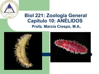 Biol 221: Zoología General
 Capítulo 10: ANÉLIDOS
   Profa. Marcia Crespo, M.A.
 