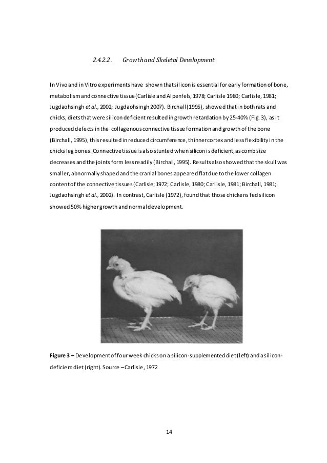 Job interview thesis