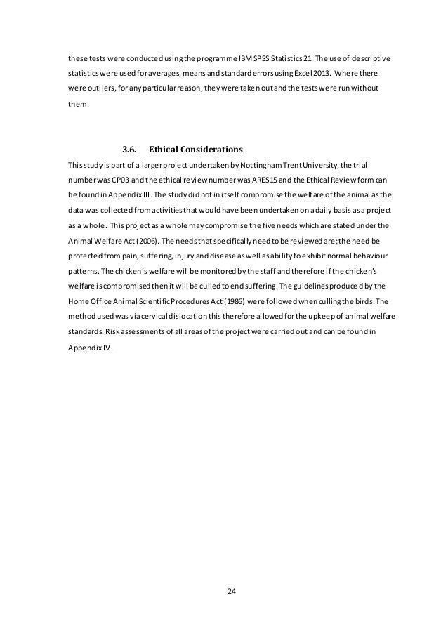essay structure types novels
