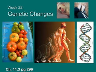 Week 22
 Genetic Changes




Ch. 11.3 pg 296
 
