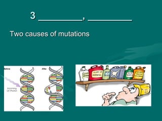3 ________, ________
Two causes of mutations
 