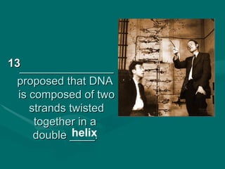 13_______________
  proposed that DNA
  is composed of two
     strands twisted
      together in a
              helix
      double ____.
 
