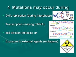 4 Mutations may occur during
• DNA replication (during interphase)

• Transcription (making mRNA)

• cell division (mitosis), or

• Exposure to external agents (mutagens)
 