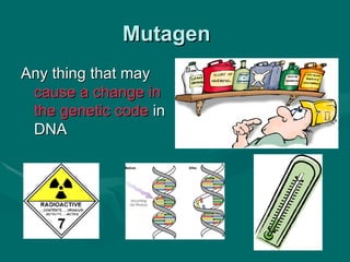 Mutagen
Any thing that may
 cause a change in
 the genetic code in
 DNA
 