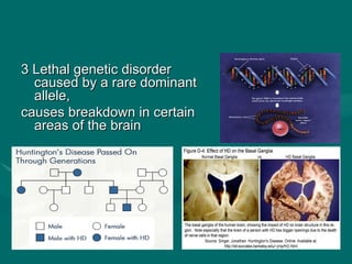 B23 ppt patterns of heredity and human genetics | PPT