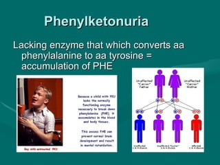 B23 ppt patterns of heredity and human genetics | PPT