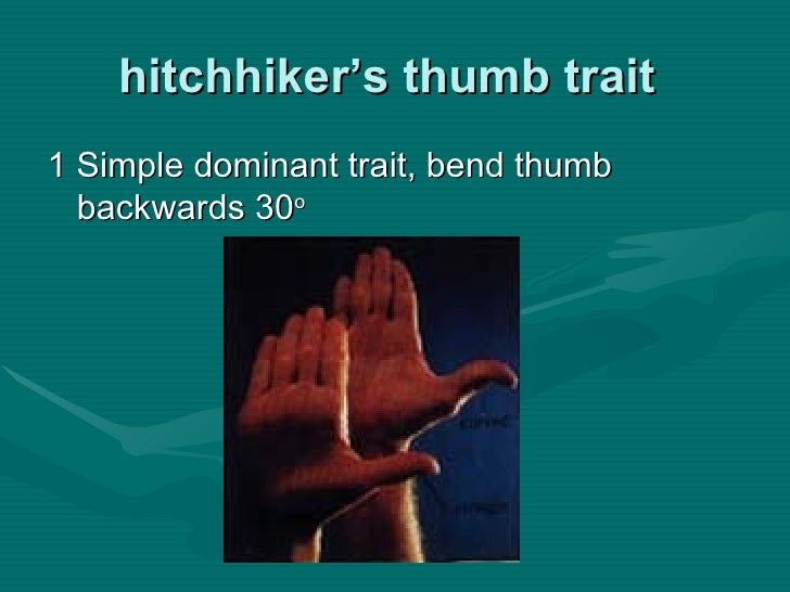 B23 ppt patterns of heredity and human