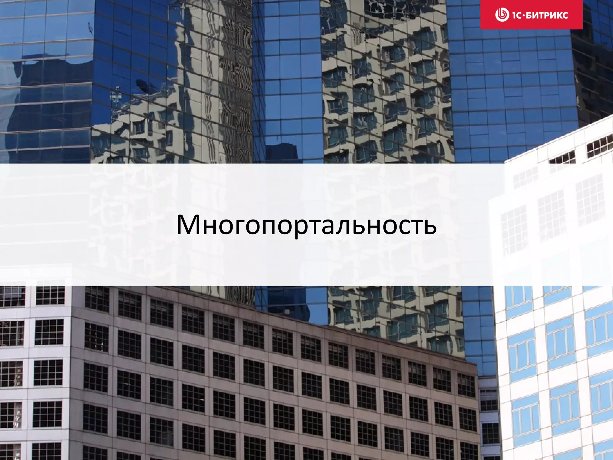 Многопортальность
 