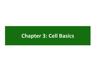 Chapter 3: Cell Basics
 