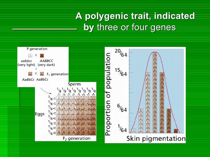 b24 ppt heredity follows different rules sickle cell genotype chart