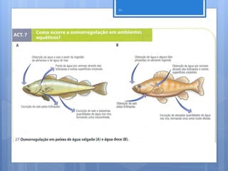 10




     Nuno Correia 2011/12
 