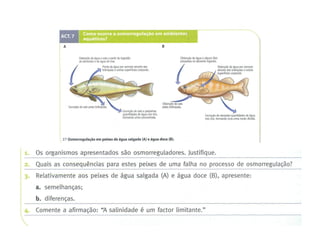 11




     Nuno Correia 2011/12
 