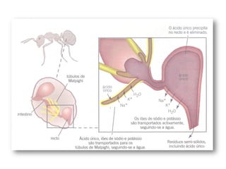17




     Nuno Correia 2011/12
 