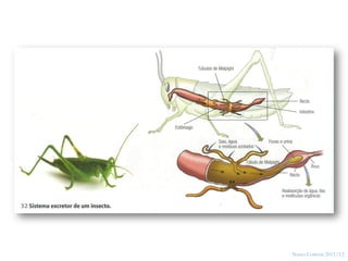 18




     Nuno Correia 2011/12
 