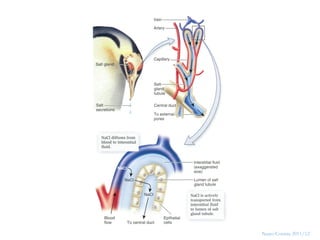 19




     Nuno Correia 2011/12
 