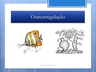 2




Osmorregulação




    Nuno Correia 2011/12
 