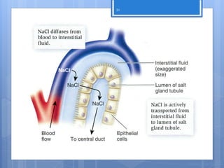 20




     Nuno Correia 2011/12
 