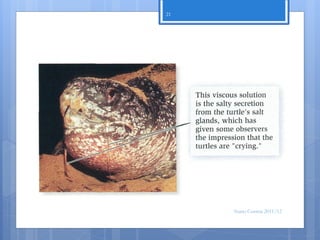 21




     Nuno Correia 2011/12
 