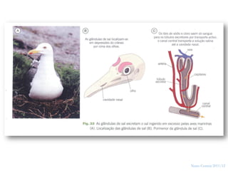 22




     Nuno Correia 2011/12
 